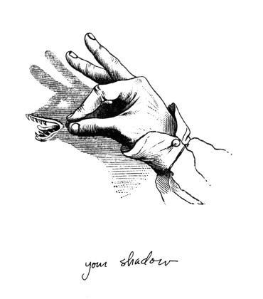 Stumbling Toward Enlightenment - your shadow