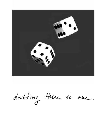 Stumbling Toward Enlightenment - doubting there is one