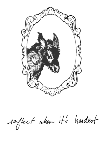 Stumbling Toward Enlightenment - reflect when it's hardest