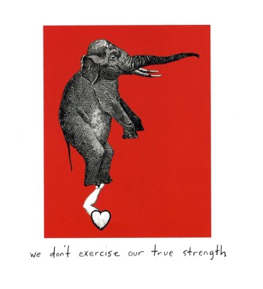 The Little Book of Courage: An Illustrated Guide to Challenging Our Fears - we don't excercise our true strength
